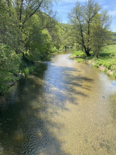 Donau beim Ziegelhüttensteg