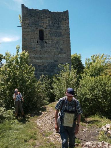 Ruine Kallenberg