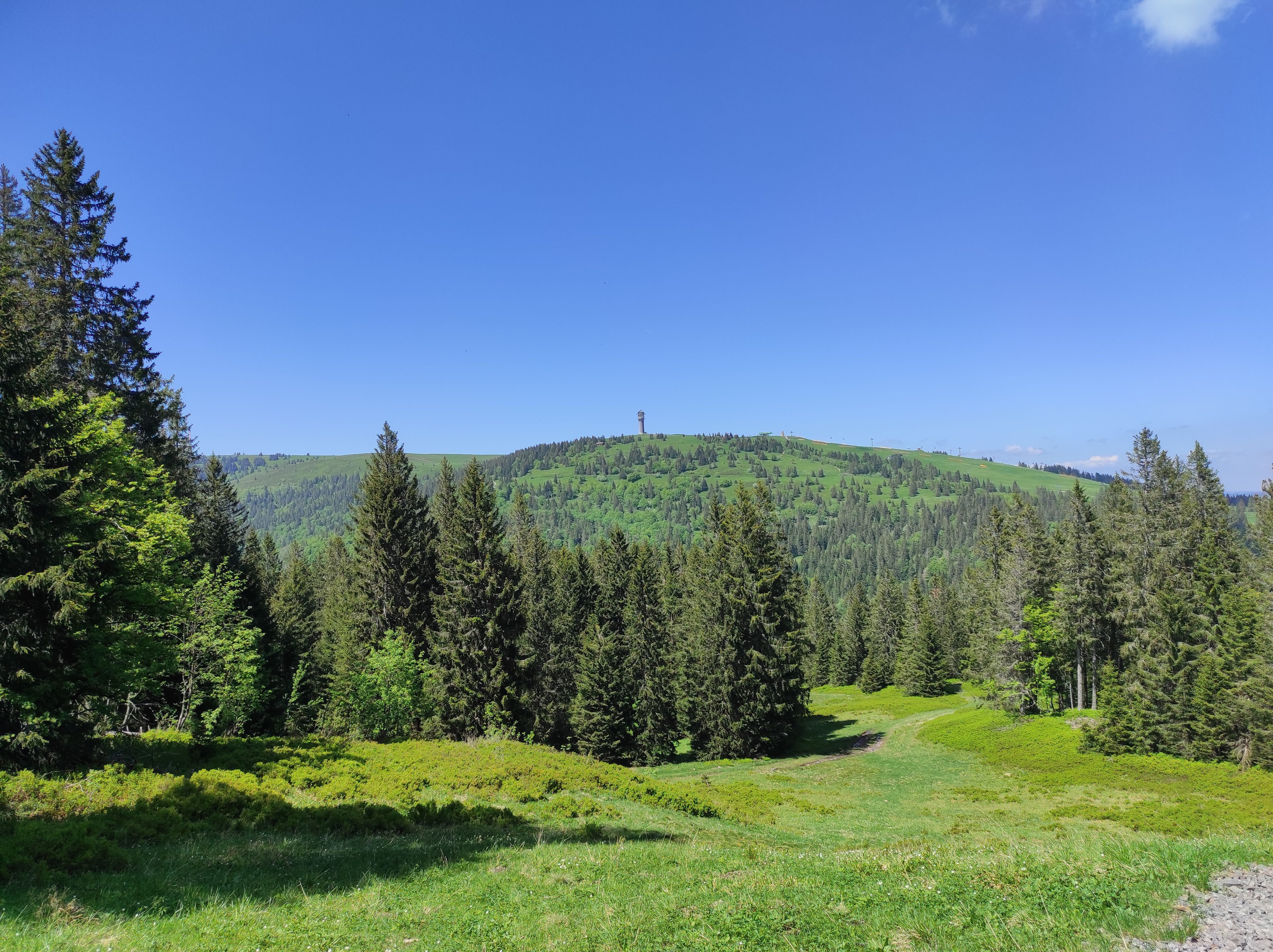 Blick vom Herzogenhorn