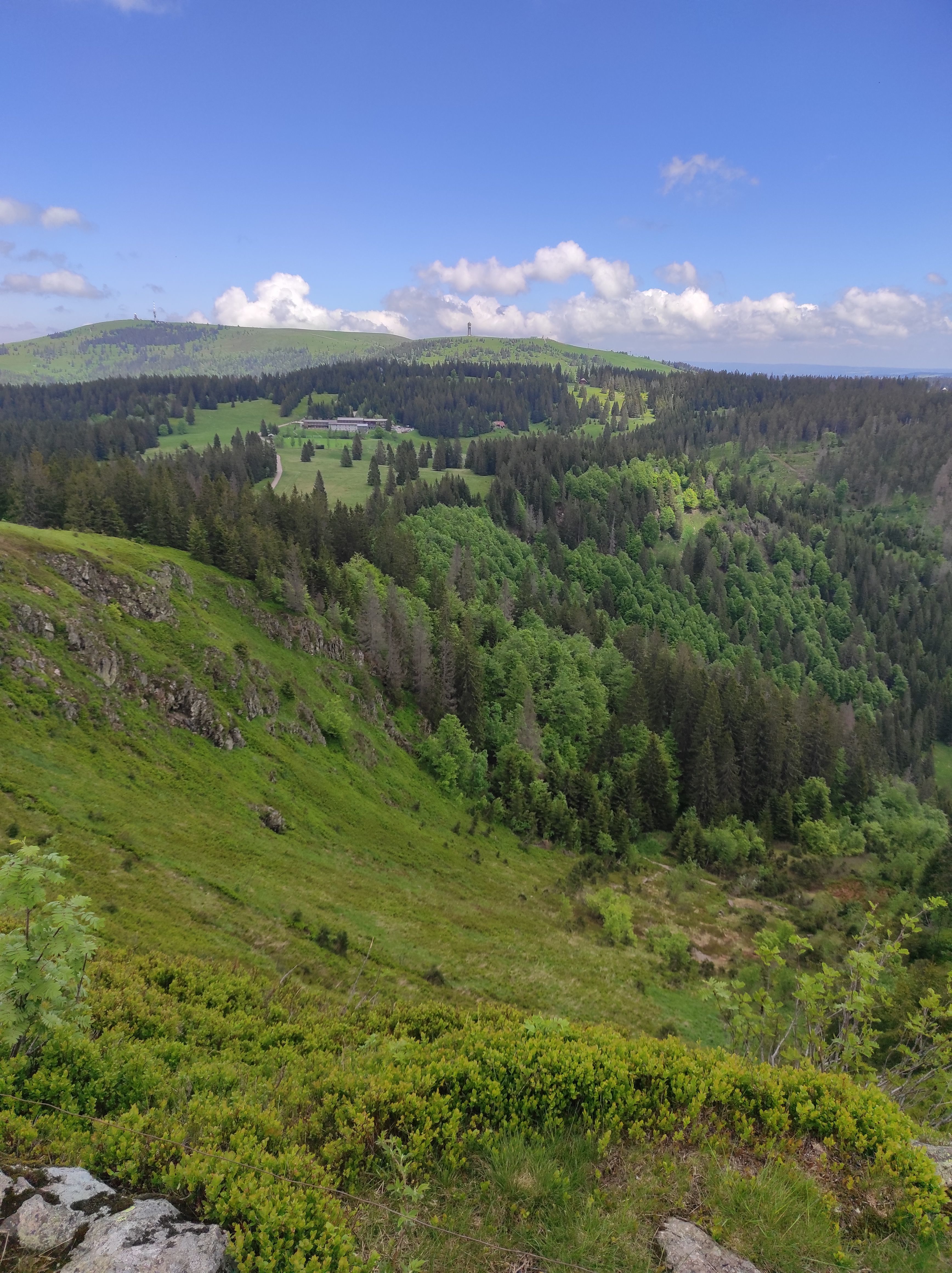 Blick vom Herzogenhorn