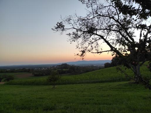 Ausblick auf Kaiserstuhl und Breisgauer Bucht