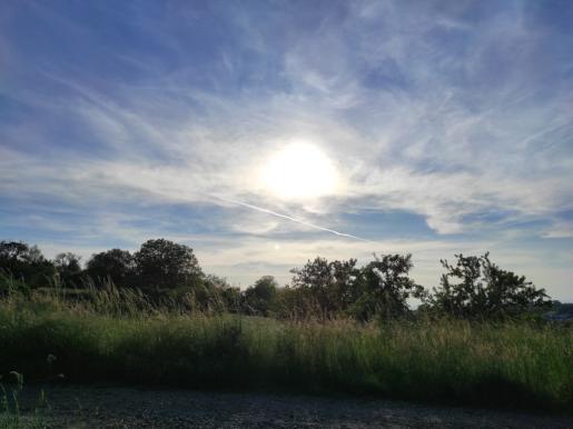 Abendsonne am Kellenberg