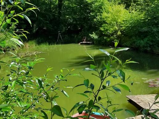 Teich am Tennenbacher Grund