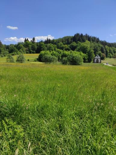 Blick vom Gasthaus Engel hinüber zum Soldatenfriedhof