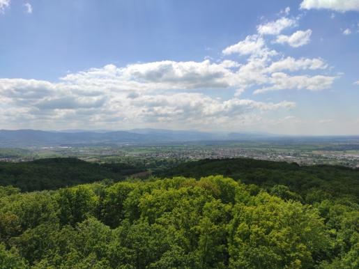 Blick vom Eichbergturm