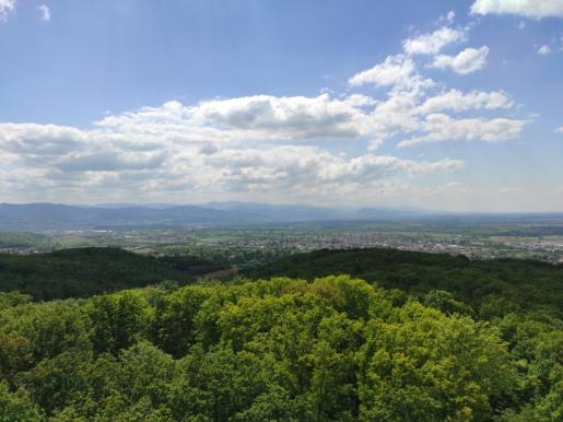 Blick vom Eichbergturm