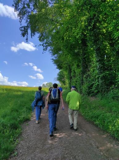 Weg auf dem Kellenberg