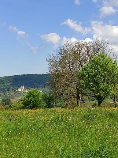 Vom Kellenberg in Richtung Burg Landeck