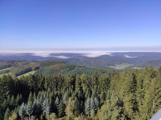 Rheinebene bis zu den Vogesen und Kaiserstuhl vom Hünersedel Turm