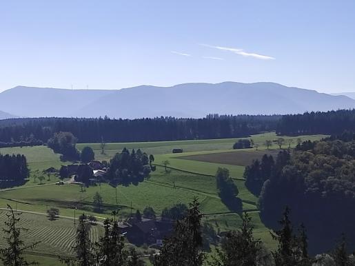 Blick über Freiamt zum Kandel