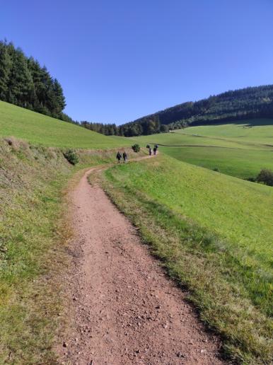 Wanderweg über die Freiämter Höhe