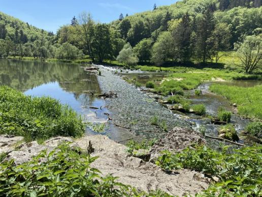 Fischrampe an der Donau