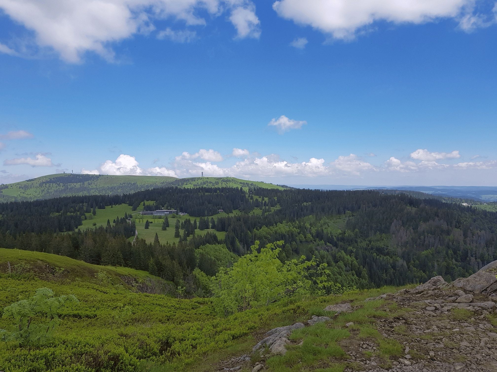 Blick vom Herzogenhorn