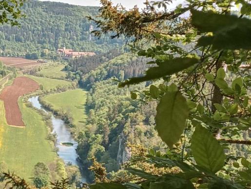 Blick zum Kloster Beuron