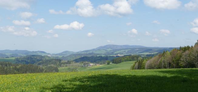 Blick nach St. Peter und zum Kandel