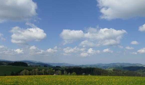 Blick nach Westen