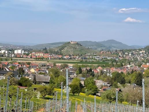 Blick auf Staufen und die Burg