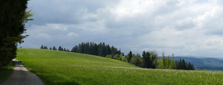 Feldberg mit Schneeresten