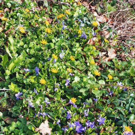 Frühling in Deutschland