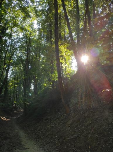 Einstieg durch die Schlucht