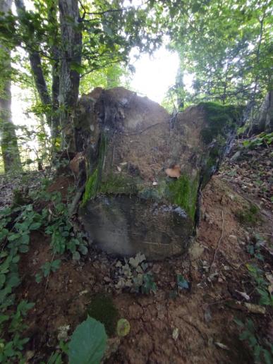 Schlucht am Stadtgarten