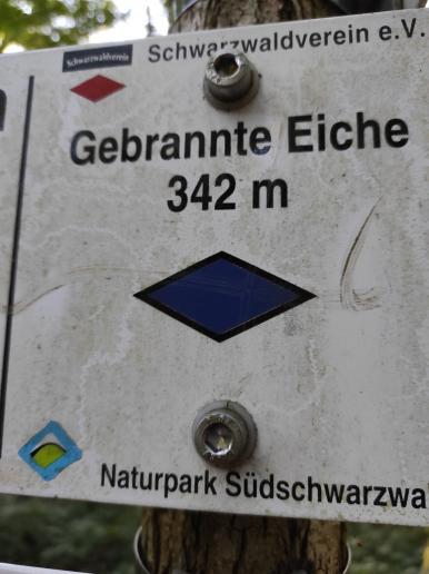 gebrannte Eiche Wegweiser