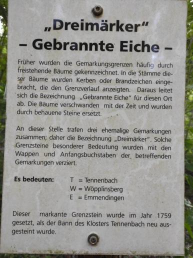 Informationen über gebrannte Eiche