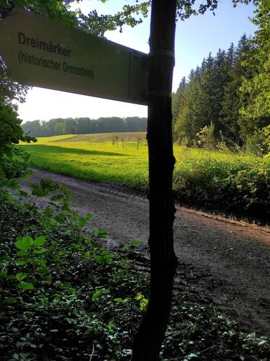 Abendlicht am Wöpplingsberg