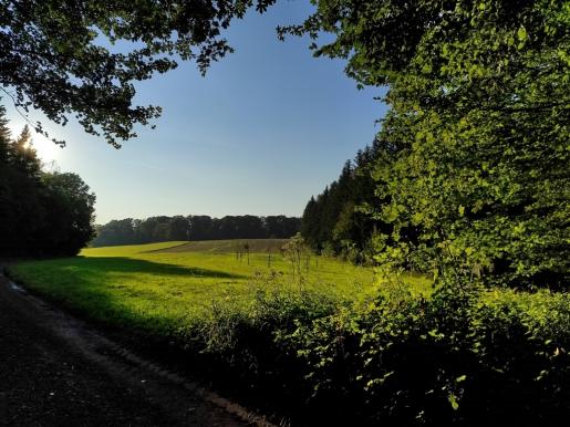 bei der gebrannte Eiche Ausblick Wöpplingsberg