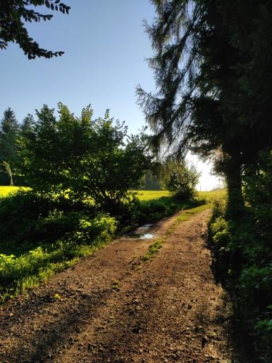 Weg am Wöpplingsberg