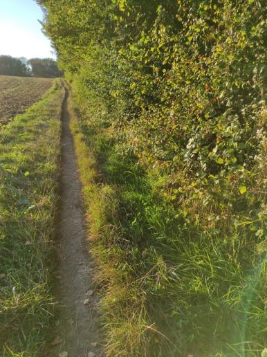 am Waldrand entlang Wöpplingsberg