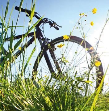 Radfahren ins Grüne