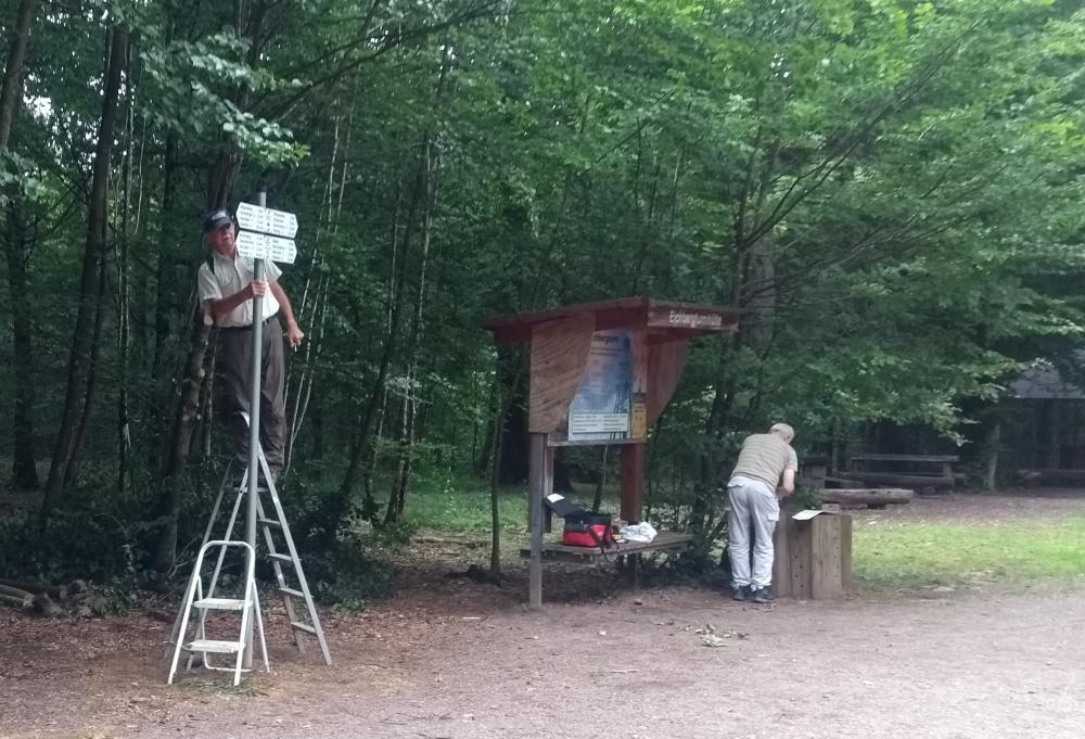 Die Wegweiser am Eichberg