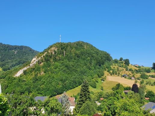 Waldenburg 